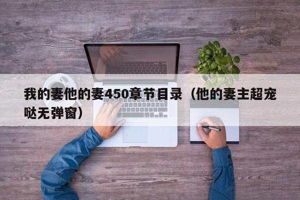 我的妻他的妻450章节目录(他的妻主超宠哒无弹窗)