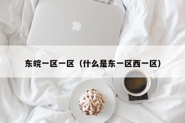 东皖一区一区(什么是东一区西一区)